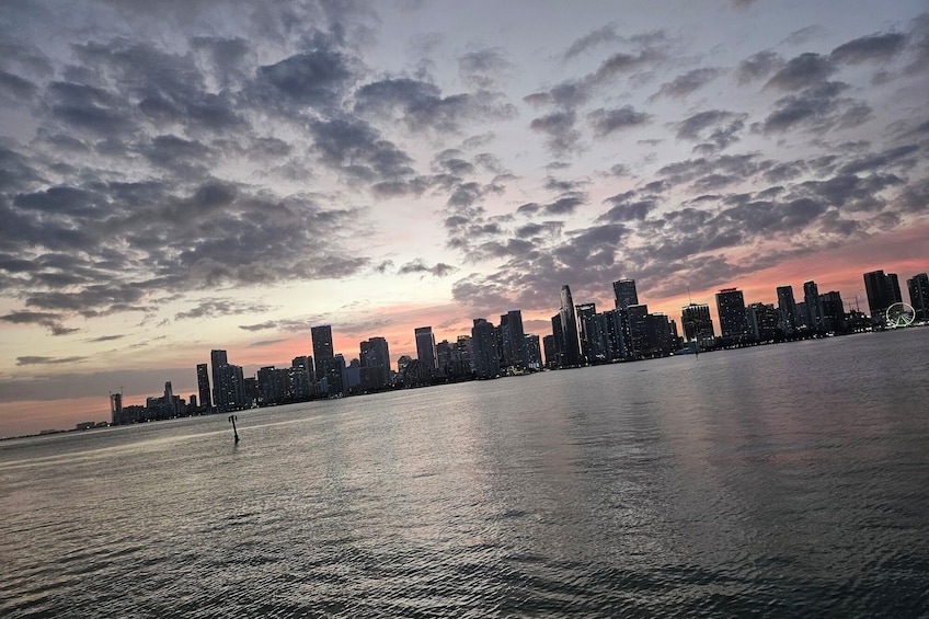 Miami Skyline Evening Cruise on Biscayne Bay 