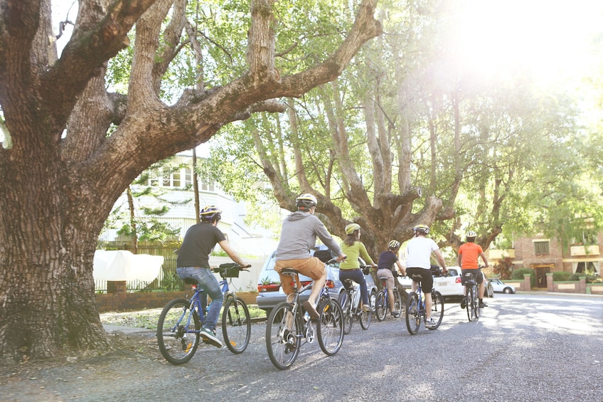 Guided Morning Bicycle Tour with Morning Tea