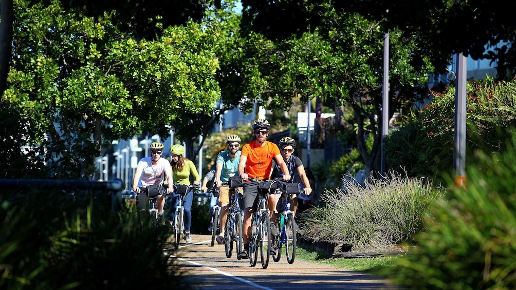 Bicycle tour group rides down sidewalk in Brisbane