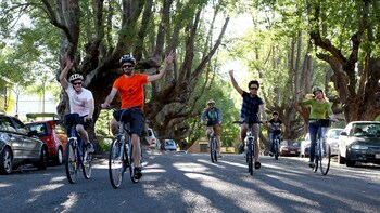 Guided Afternoon Bicycle Tour of Brisbane