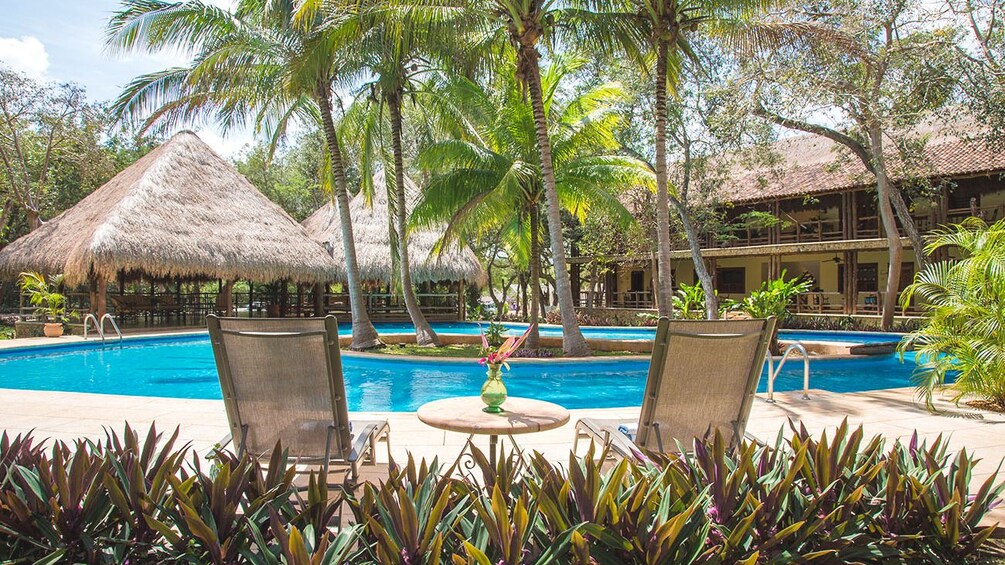 Exterior view of resort beautiful large swimming pool and palm trees.