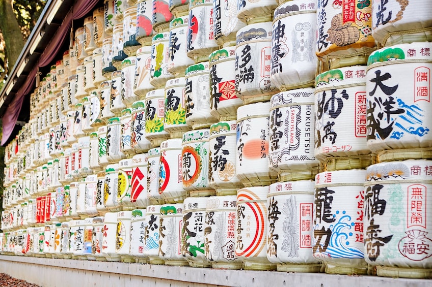 Tokyo Half-Day Sightseeing Bus Tour (AM)