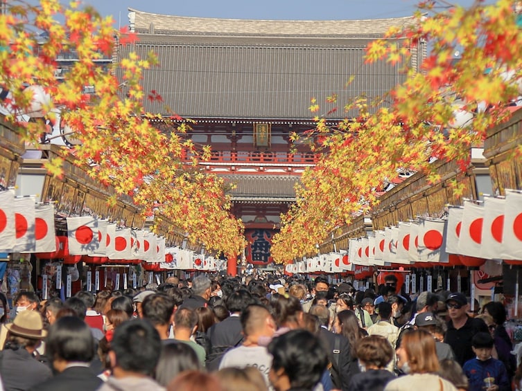 Tokyo Morning Sightseeing Bus Tour