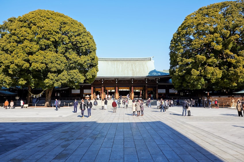 Tokyo Half-Day Sightseeing Bus Tour (AM)