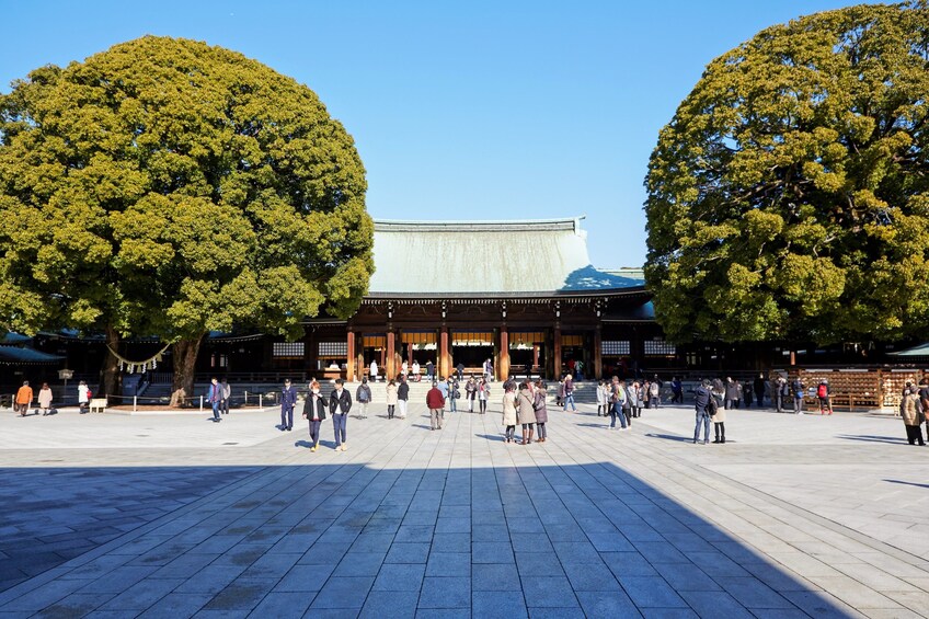 Tokyo Half-Day Sightseeing Bus Tour (AM)