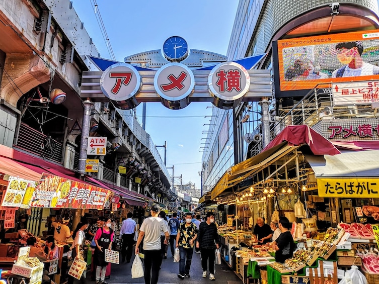 Tokyo Morning Sightseeing Bus Tour