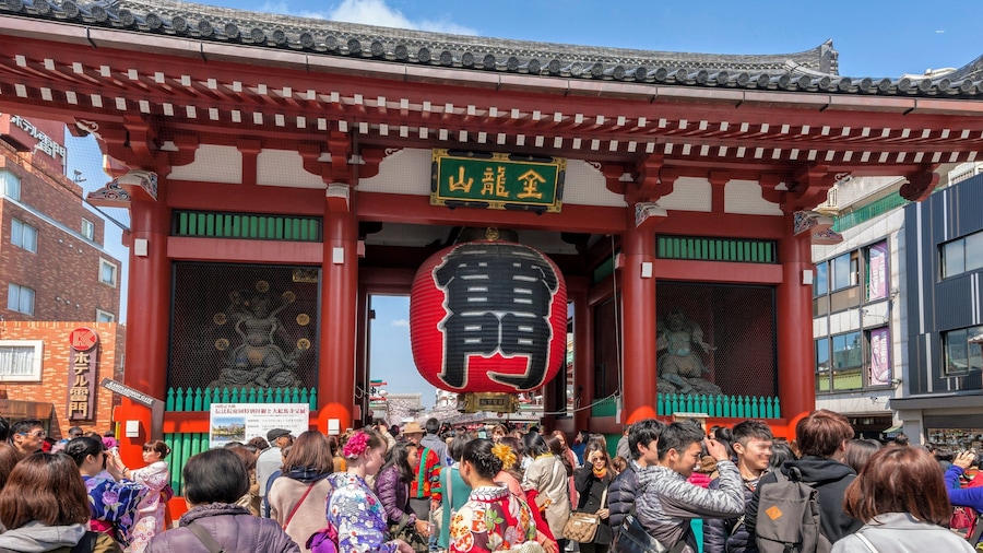 Tokyo Half-Day Sightseeing Bus Tour