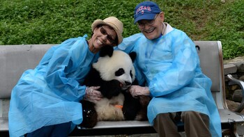 Private Wuhou Temple & Jinli Tour with Optional Panda Holding Experience