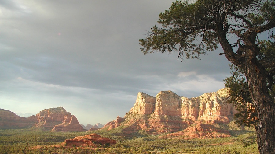 Landscape view of Grand Canyon during cloudy day.