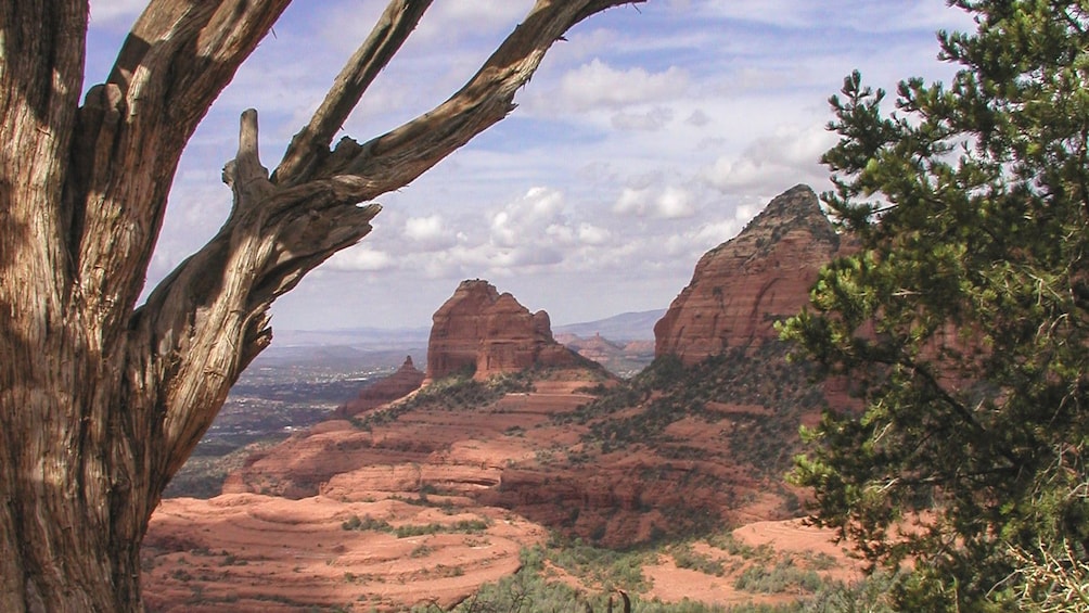 Beautiful landscape view of Grand Canyon during the day from elevated point.