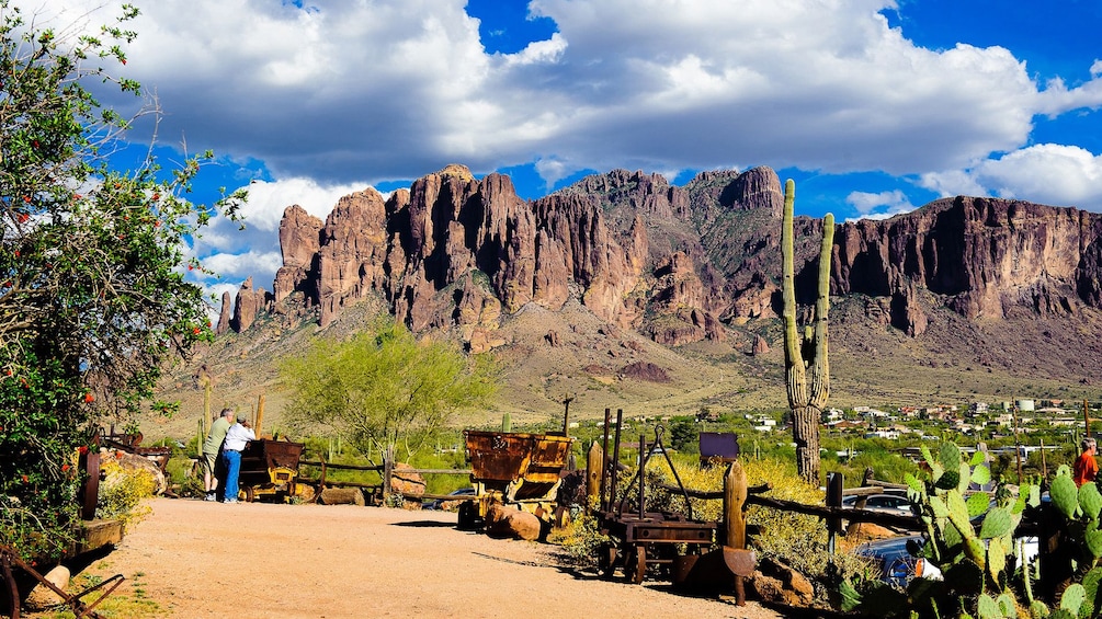 A park in the Sonoran desert