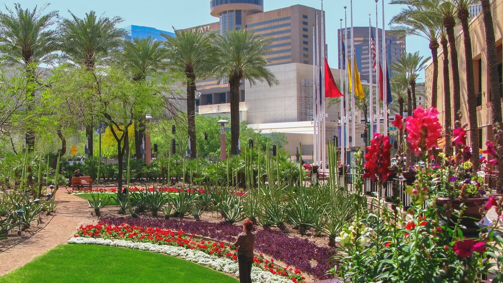Cargar foto 1 de 5. Garden view of Arizona Center.
