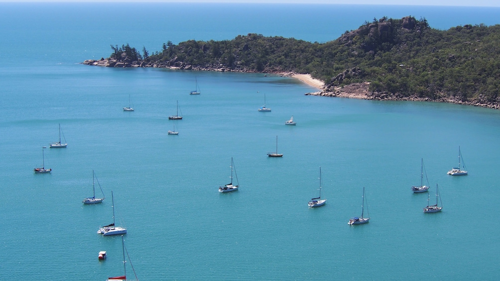 Aerial view of Palm Island with several boats at sail.