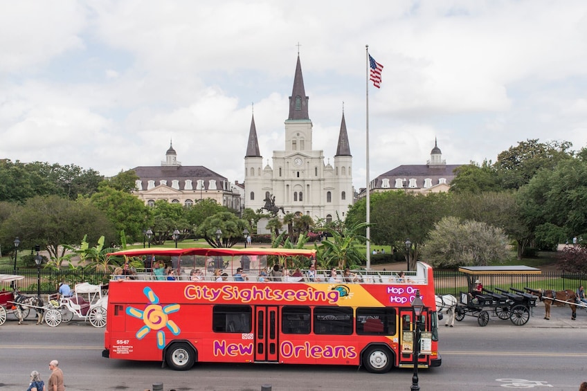 New Orleans Shore Excursion: Hop-On Hop-Off Bus Tour