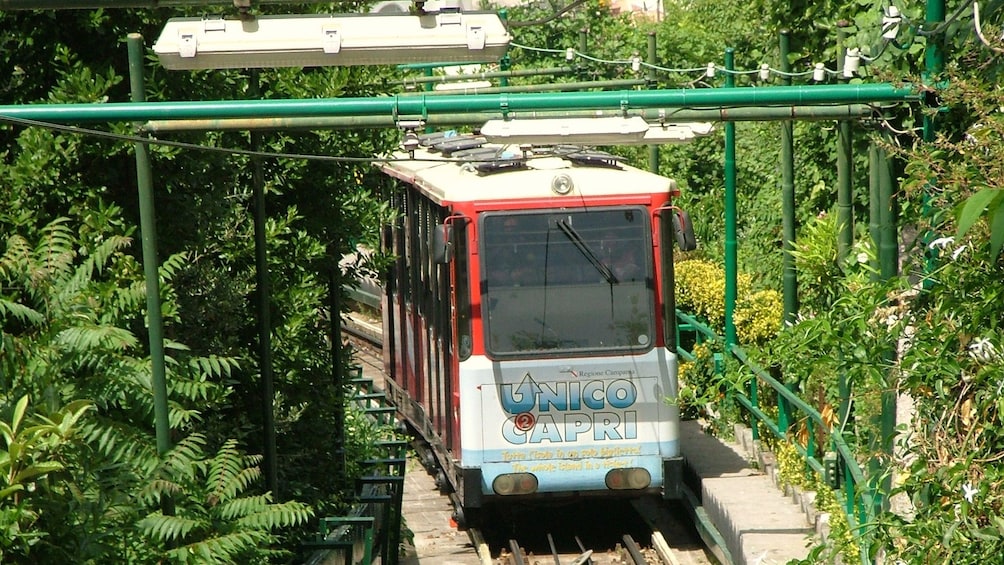 Capri beach trolley passing through forest area.