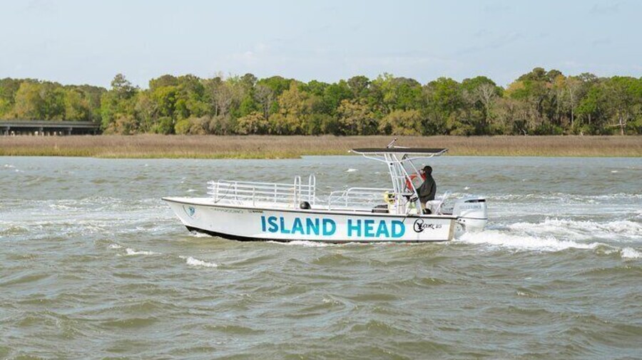 90 Minute Hilton Head Dolphin Tour