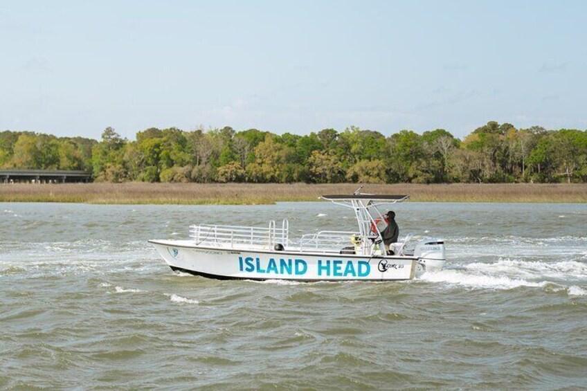 90 Minute Hilton Head Dolphin Tour
