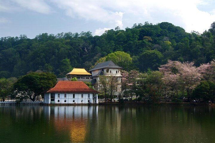 Kandy Day Tour From Colombo