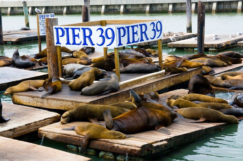 Gold Rush to Golden Gate: Self Guided Tour of San Francisco