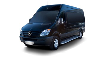 Shared Minibus: Los Angeles - Disneyland