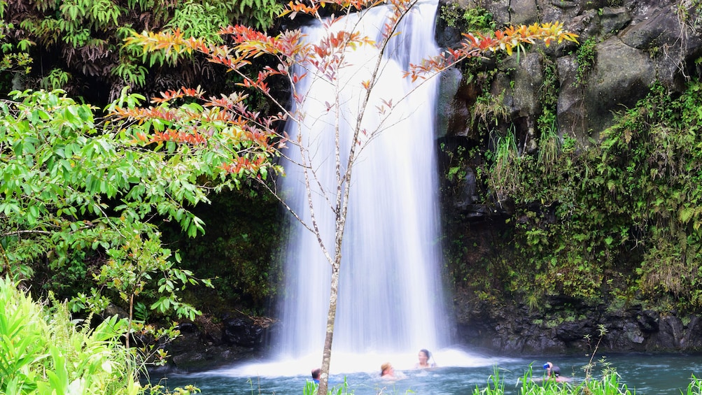 Hana Lava Tube Adventure