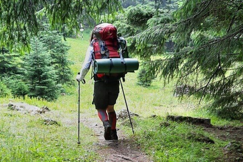 Hike in Bucegi Natural Park