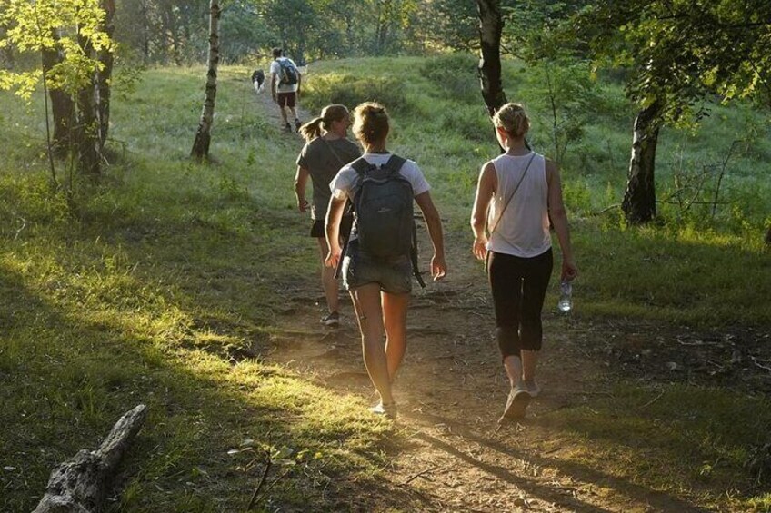 Hike & Beer: local craft beer tasting, breathtaking views with your beer on top