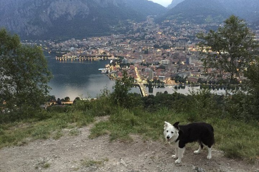 Hike & Beer: local craft beer tasting, breathtaking views with your beer on top