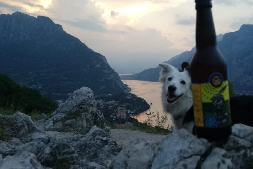Hike & Beer: local craft beer tasting, breathtaking views with your beer on top