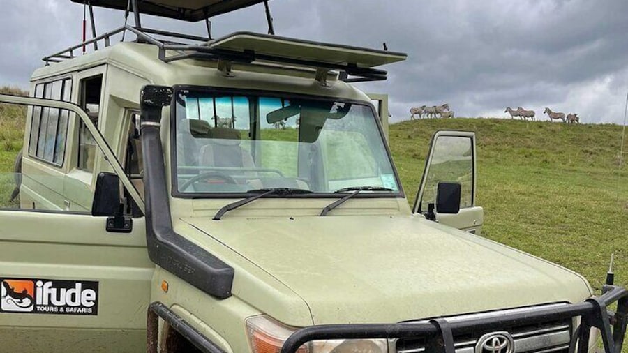 8 Days Serengeti Migration safari