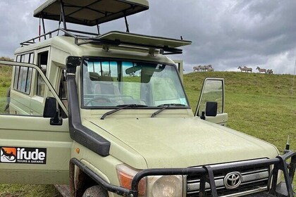 8 Days Serengeti Migration safari