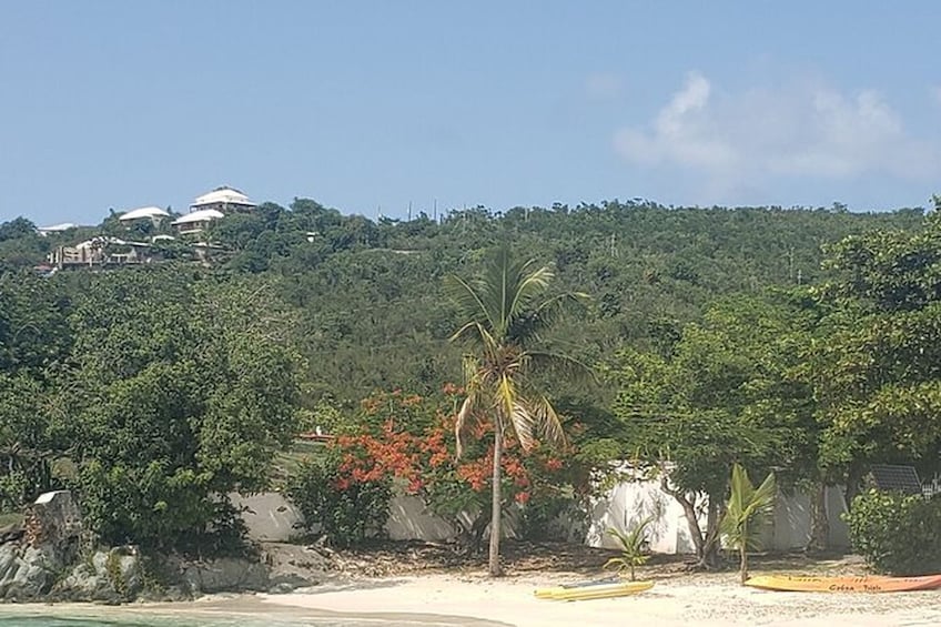 Trunk Bay Beach from St. Thomas Private Driver