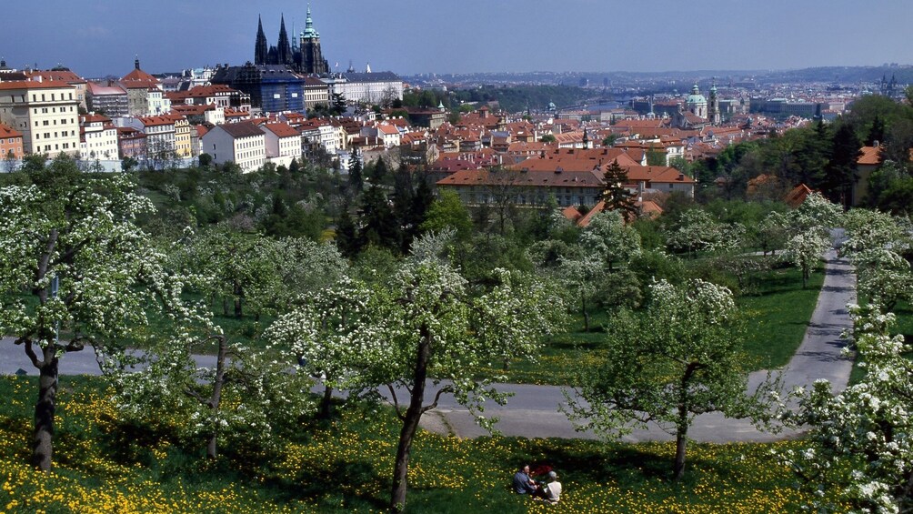 view of park area and city
