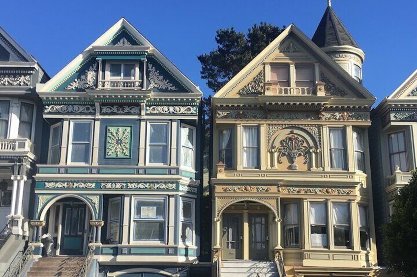 A pair of gorgeous "Painted Ladies".