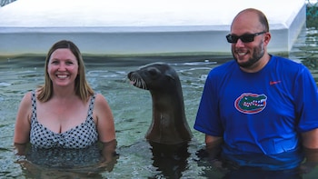 Swim with Sea Lions at Theater of the Sea