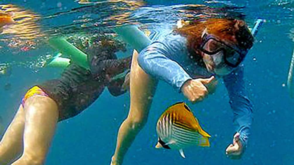 Snorkelers floating on the surface of the ocean in Maui