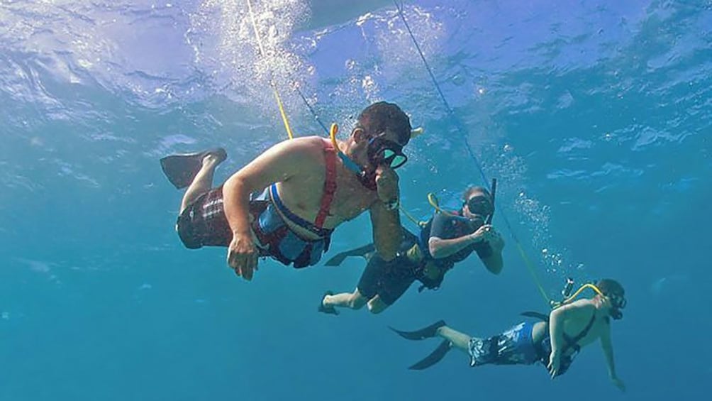 Three tethered snorkelers diving in the ocean in Maui