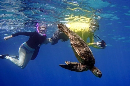 Snorkelkryssning till Molokini-kratern och Turtle Town