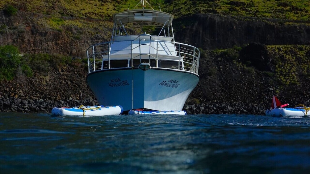 Snorkeling Cruise to Molokini Crater & Turtle Town