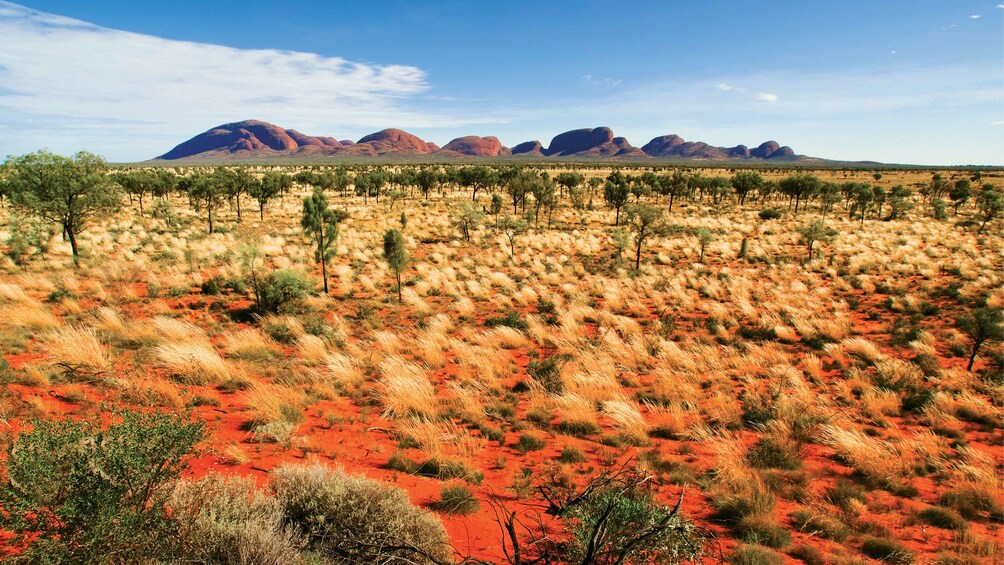 Kata Tjuta