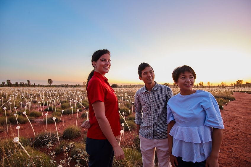 Half-Day Field of Light Sunrise Tour