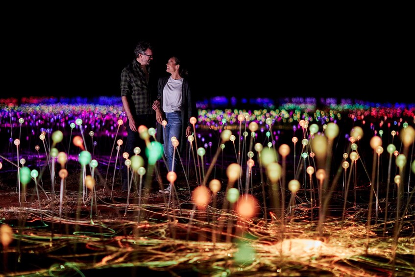 Half-Day Field of Light Sunrise Tour