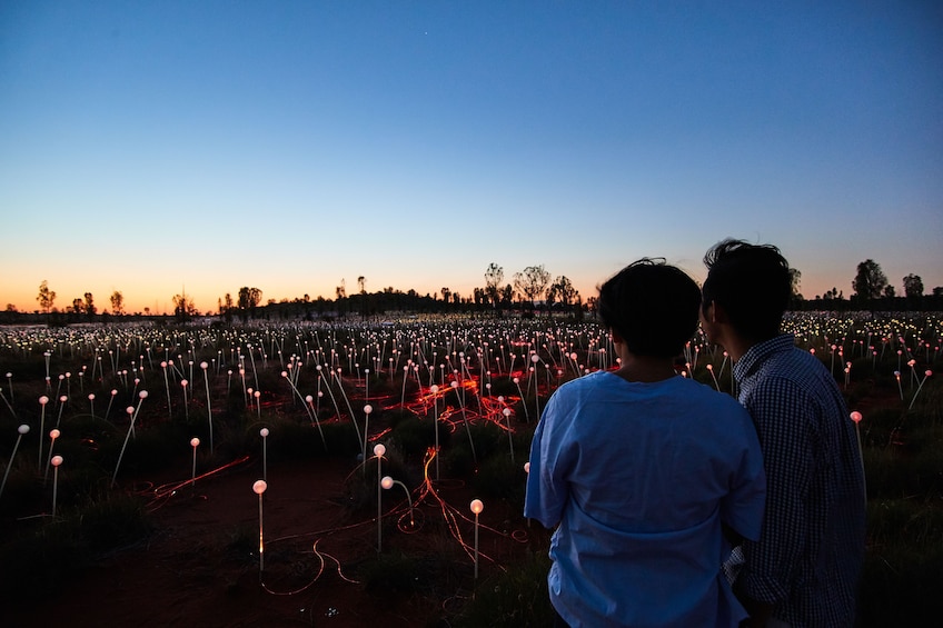 Half-Day Field of Light Sunrise Tour