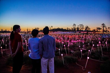 Field of Light Sunrise Tour