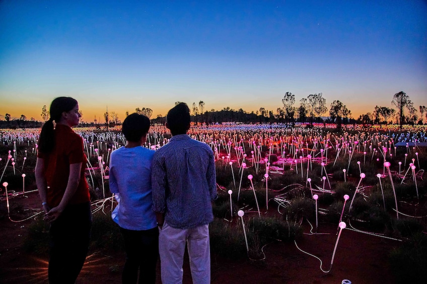 Half-Day Field of Light Sunrise Tour