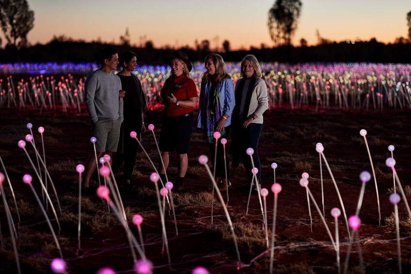 Half-Day Field of Light Sunrise Tour