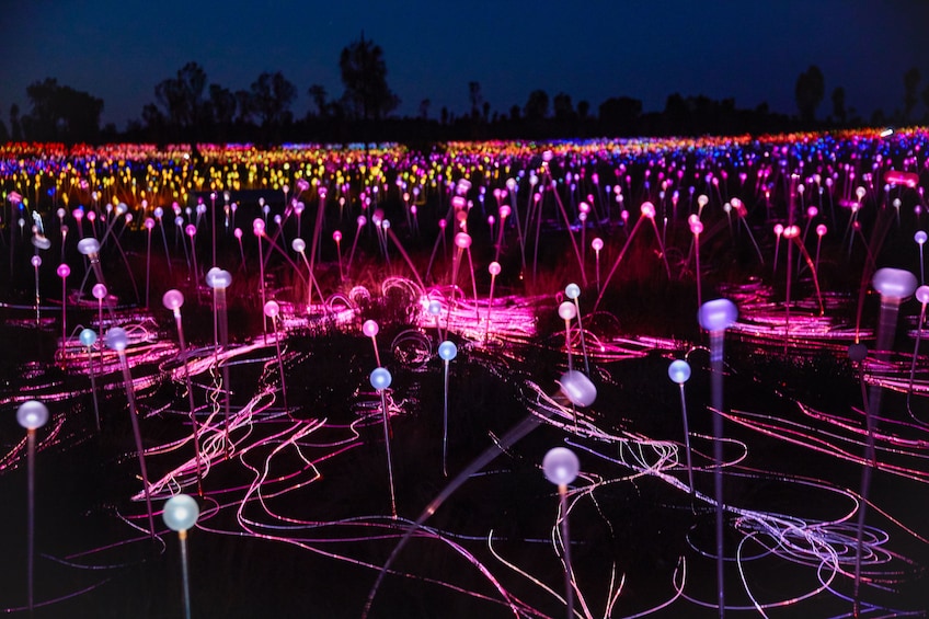 Half-Day Field of Light Sunrise Tour