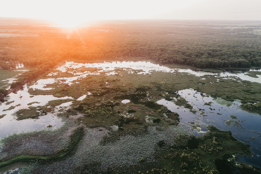 Half-Day Crocodile & Nature Explorer Tour