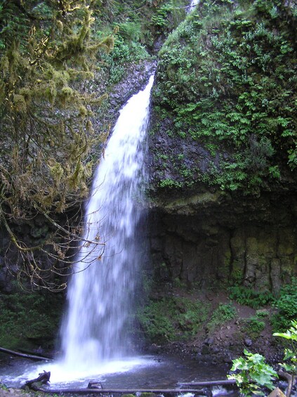 Waterfall Hop-On Hop-Off Trolley