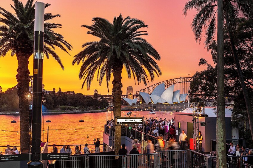 Guys and Dolls on Sydney Harbour